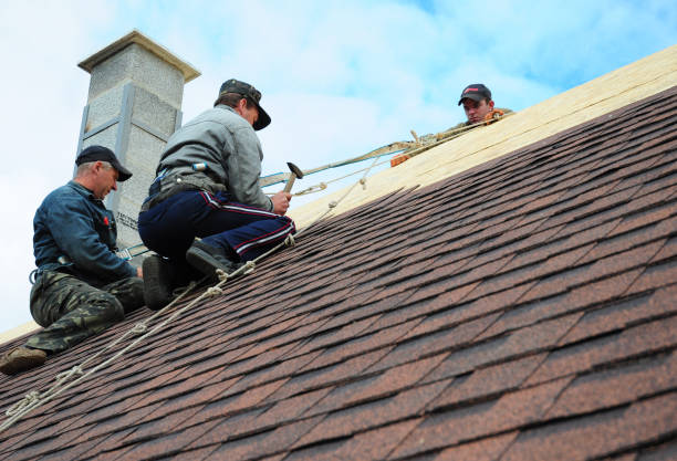 Best Storm Damage Roof Repair  in New Cumberland, WV